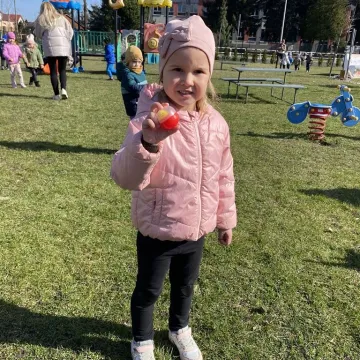 Zajączek ukrył się w PP nr 5 w Radomsku. Dzieci ruszyły na poszukiwania