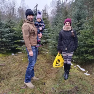 Wielkie „Choinkobranie” w Radomsku