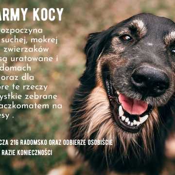 Zbiórka karmy i koców dla uratowanych zwierzaków