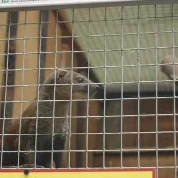 Muzeum Regionalne na wyciecze w Łodzi