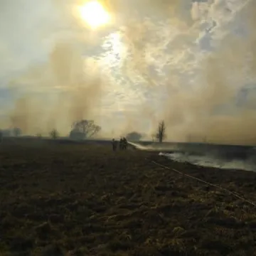 Duży pożar suchych traw w Pławnie