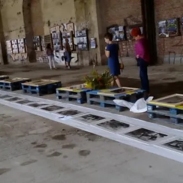 365 x 100 WOLNOŚĆ wystawa fotografii w Radomsku