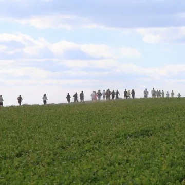 Lokalne tradycje w centrum uwagi podczas święta ziemniaka w Dmeninie