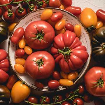Uprawa sadzonek pomidorów w szklarni. Co musisz wiedzieć o pielęgnacji rozsad