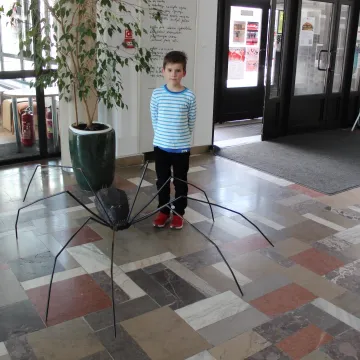 Pająki i skorpiony w MDK w Radomsku