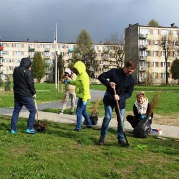 Samorządowcy z Platformy Dialogu sadzili drzewa