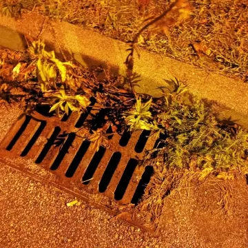 Kto za to bierze pieniądze i dba o studzienki?