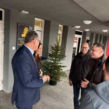 Drugie życie choinek