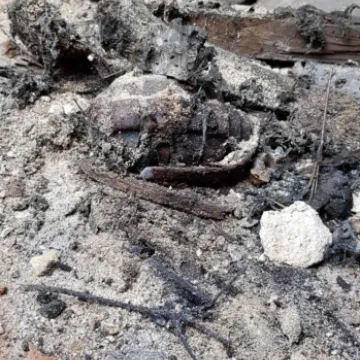 Mieszkaniec Przedborza znalazł dwa granaty