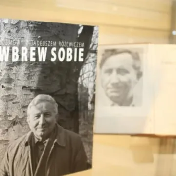 Różewicz w bibliotece