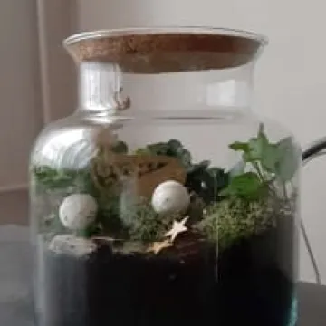 WOŚP 2020: Gomunice nabierają wiatru w żagle