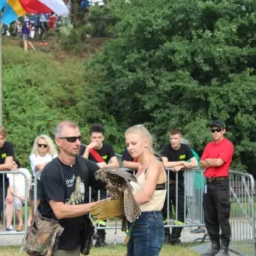 Dni Radomska 2018: Pokazy sokolnika