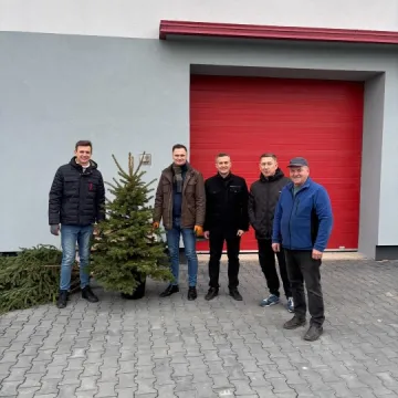 Drugie życie choinek