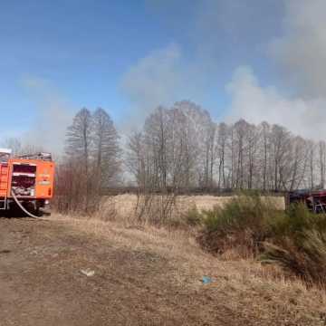 Bobry: Spłonęło 40 hektarów nieużytków. 13 zastępów straży walczyło z pożarem. Zagrożone były budynki