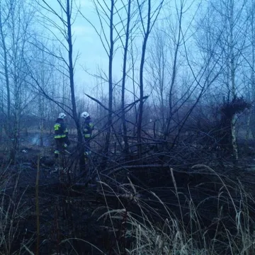 Bezdomny spowodował pożar?