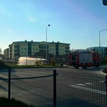 Pożar trawy na osiedlu przy ulicy Sadowej