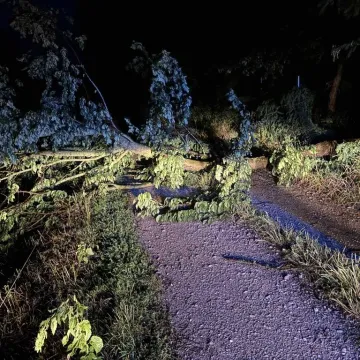 Nawałnica przeszła przez region. Powalone drzewa, uszkodzone dachy