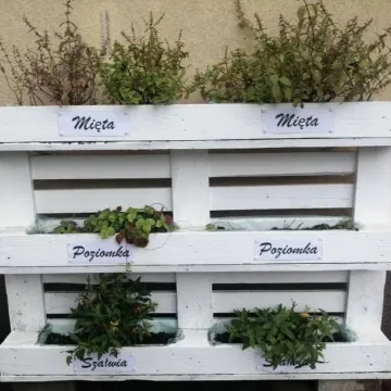 Pracowity rok z małymi i wielkimi sukcesami