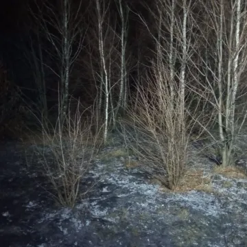 Trzy wyjazdy jednego dnia strażaków z Wielgomłyn do pożarów suchych traw