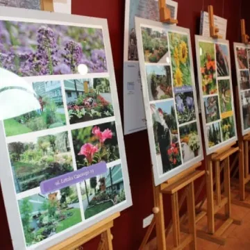 Konkurs „Mój dom cały w kwiatach” rozstrzygnięty