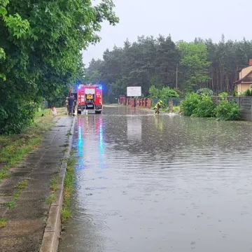 Na szczęście było spokojnie. Strażacy interweniowali tylko w Przedborzu