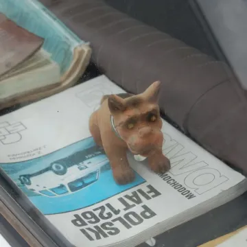 Maluchy, Łady i Cadillaki - wystawa samochodów przed Muzeum Regionalnym w Radomsku