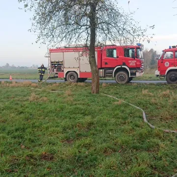 Kolejny pożar w Brudzicach. Tym razem paliły się gałęzie