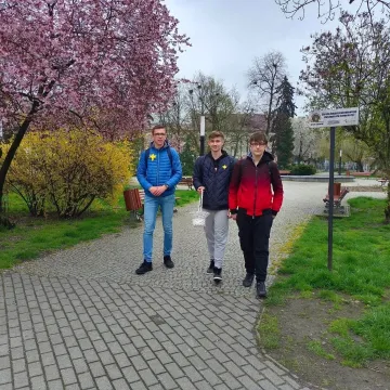 Młodzież z „ekonomika” rozdawała żonkile na ulicach Radomska