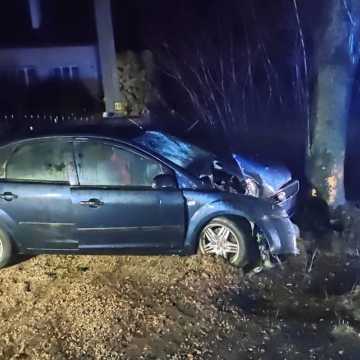 Wypadek w Bloku Dobryszyce, a w samochodzie pijani. Kto kierował?