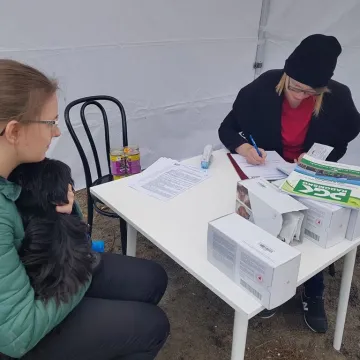W schronisku w Radomsku bezpłatnie czipowano zwierzęta