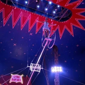 Zgarnij wejściówkę do Cyrku Safari