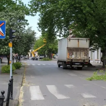 Drzewa na ulicy Reymonta poszły pod topór