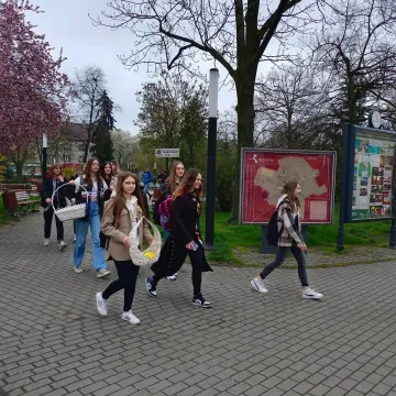 Młodzież z „ekonomika” rozdawała żonkile na ulicach Radomska