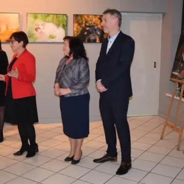 Cztery łapy w obiektywie 