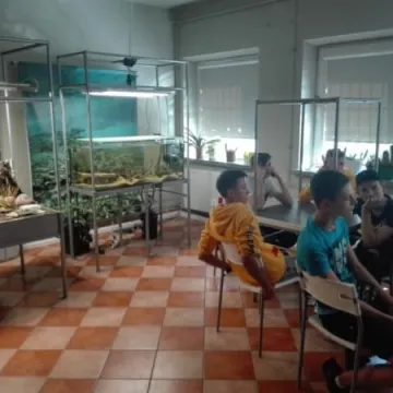 Partnerskie warsztaty filmowe 