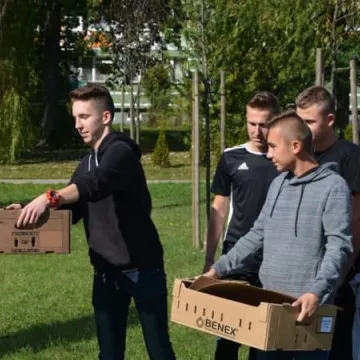 Krokusy zakwitną na „Wielorybku”