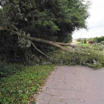 Skutki wichury: Powalone drzewa na jezdnie i uszkodzone dachy