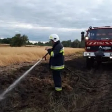 Pożar zboża między Przerębem a Bartodziejami