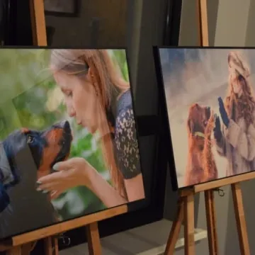 Cztery łapy w obiektywie 