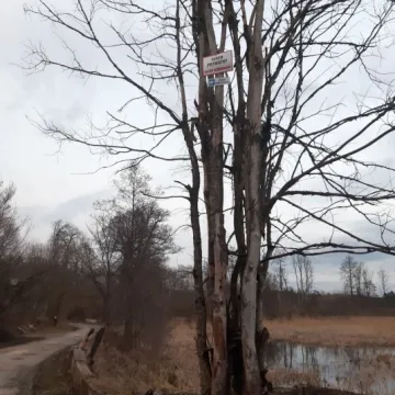 Koniec spacerów na Fryszerce