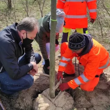 Prezydent Radomska sadził drzewa przy ul. Unii Europejskiej