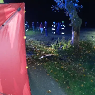 44-latka była reanimowana. Wjechała samochodem w drzewo