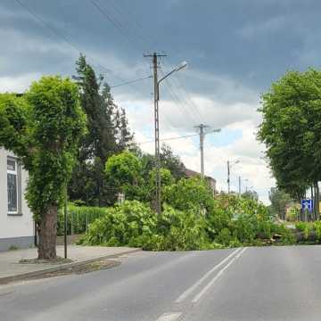 Na ul. Narutowicza w Radomsku wiatr powalił drzewo. Droga jest zablokowana!