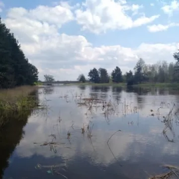 Podtopienia na Topiszu, Bobrach i Szczepocicach 