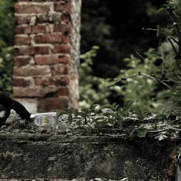 Zdobyli fotograficzne szlify