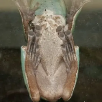 Muzeum Regionalne na wyciecze w Łodzi