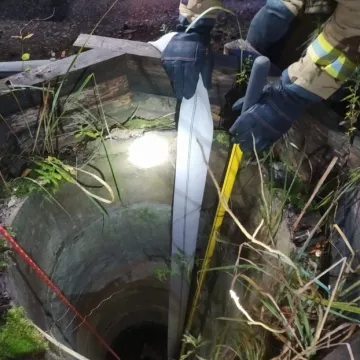 Strażacy uratowali psa i lisa uwięzionych w studni