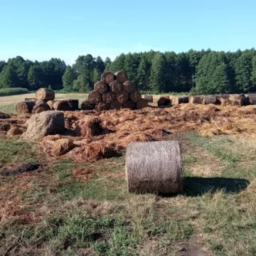 W Niwie Goszczowskiej płonęły baloty słomy