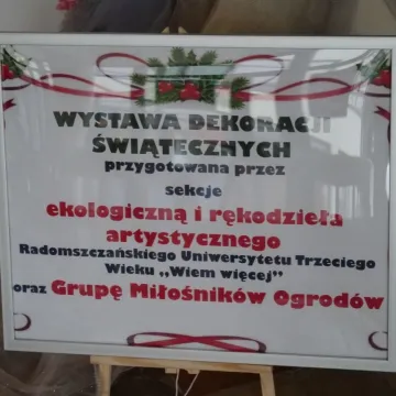 Studenci RUTW „Wiem więcej” przygotowali wystawę choinek w MDK