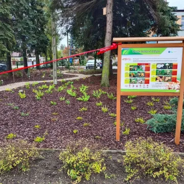 W PSP 8 w Radomsku utworzono „Leśne Obserwatorium”